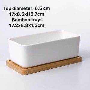 Succulent ceramic pot with bamboo tray